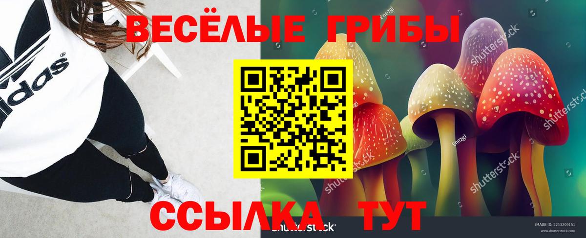 Псилоцибиновые грибы Cubensis Вичуга