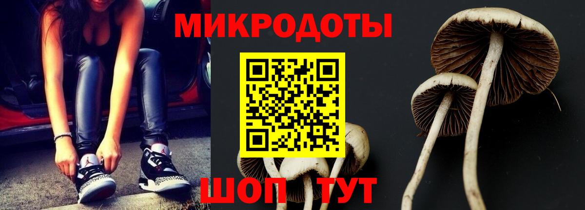 Галлюциногенные грибы Psilocybine cubensis  Псилоцибиновые грибы Psilocybine cubensis  Вход с VPN  Вичуга 